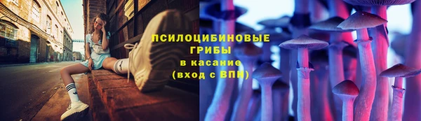 ГАЛЛЮЦИНОГЕННЫЕ ГРИБЫ Арсеньев