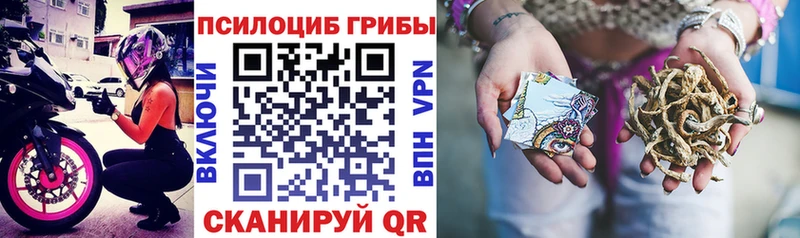 Псилоцибиновые грибы GOLDEN TEACHER Ревда